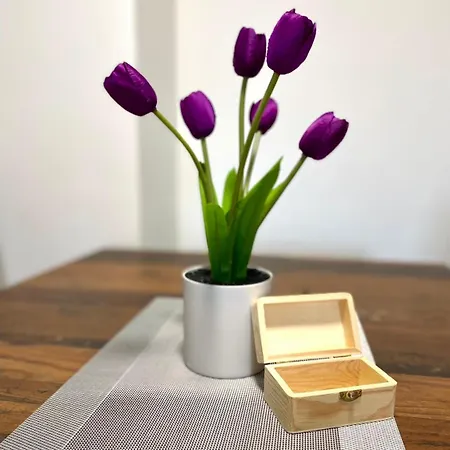 Apartment Robbe 2 *